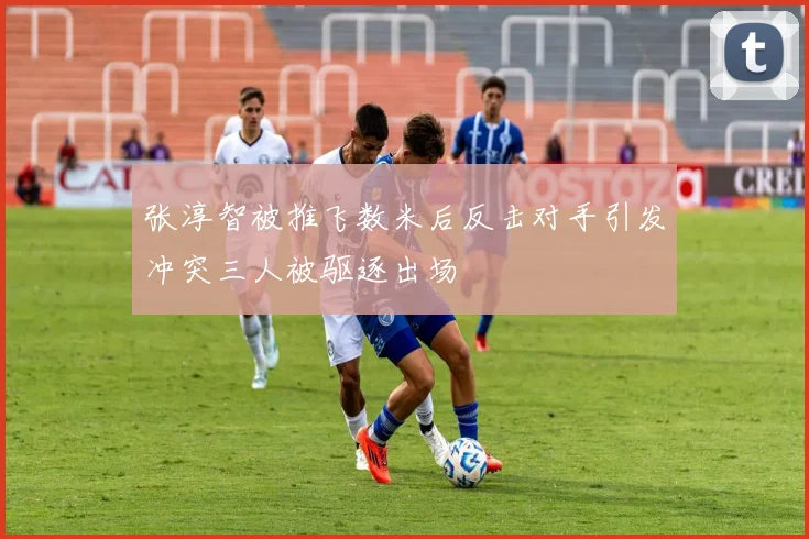 张淳智被推飞数米后反击对手引发冲突三人被驱逐出场
